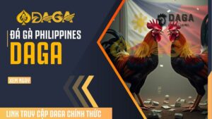 Đá gà Philippines – Sân chơi đẳng cấp dành cho anh em đam mê cá cược