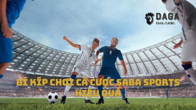 Bí kíp chơi cá cược Saba Sports hiệu quả