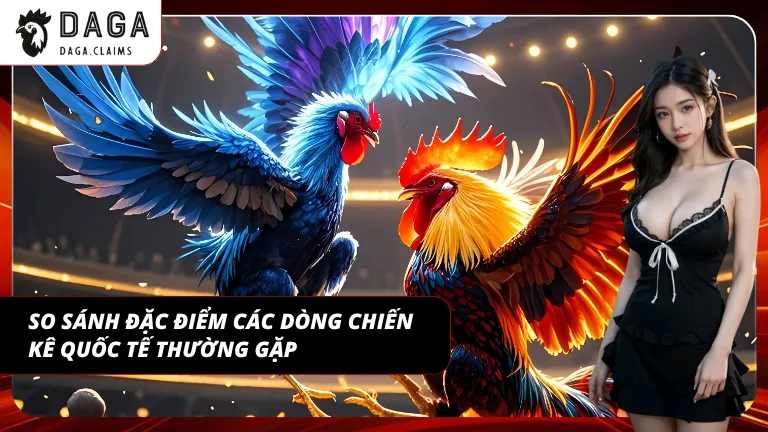 Đặc điểm chiến kê giúp hỗ trợ đánh giá trước khi xuống tiền