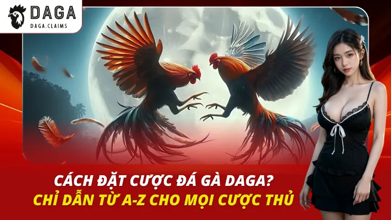cách đặt cược đá gà daga