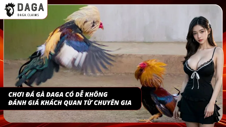 Nhận định khách quan giúp hiểu rõ bản chất bộ môn đá gà