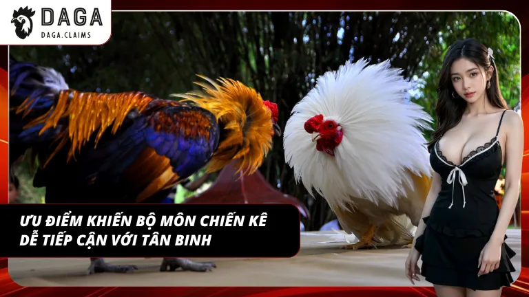 Luật đơn giản giúp người mới nhanh chóng làm quen