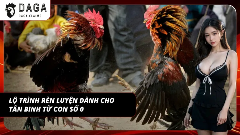 Rèn luyện đúng cách giúp cải thiện khả năng theo kèo đá gà