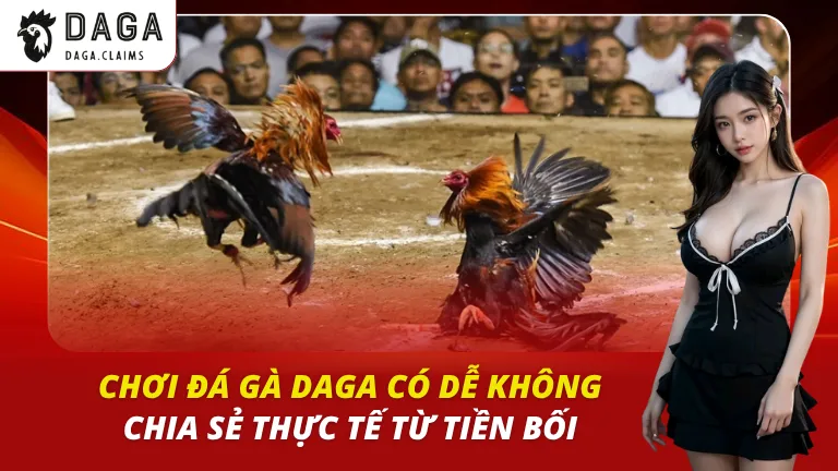 chơi đá gà daga có dễ không