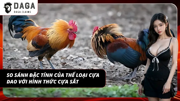 Đặc tính riêng ảnh hưởng trực tiếp đến chiến thuật đặt cược