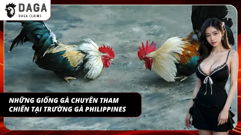 Giống gà khác nhau tạo nên lối đá và nhịp trận riêng biệt