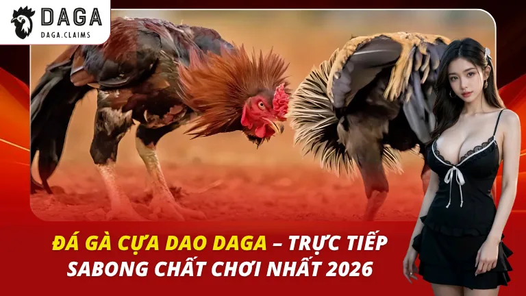 đá gà cựa dao daga