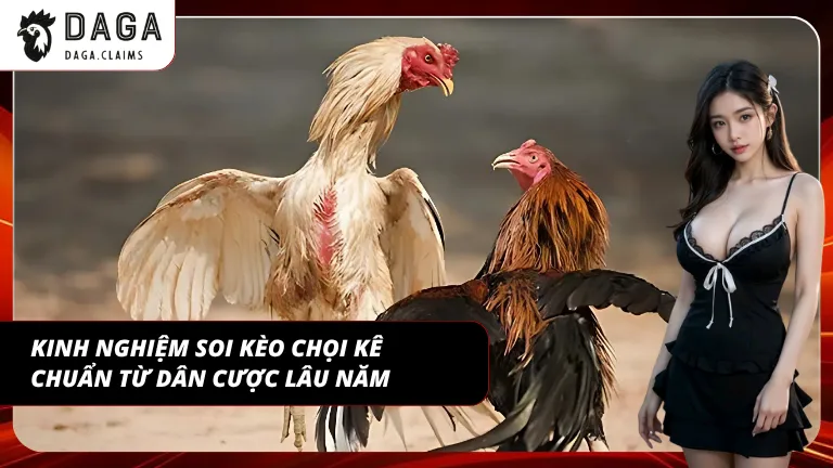 Kinh nghiệm thực chiến giúp nâng cao khả năng đọc trận