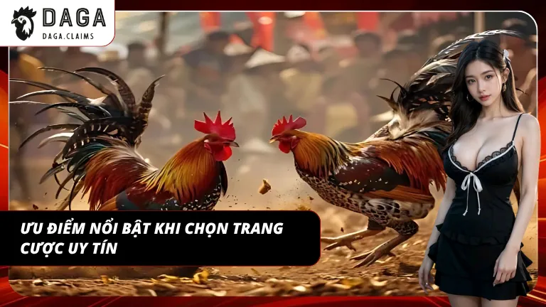 Độ ổn định giúp duy trì trải nghiệm xuyên suốt khi tham gia