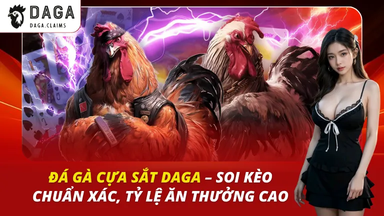 đá gà cựa sắt daga