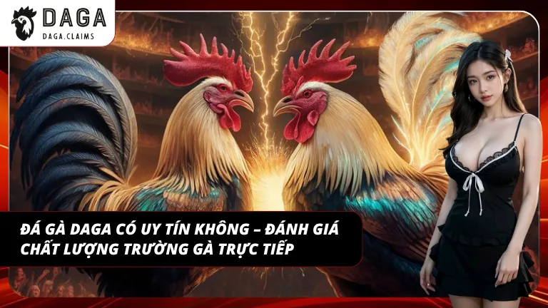 Độ uy tín thể hiện qua trải nghiệm ổn định và minh bạch lâu dài