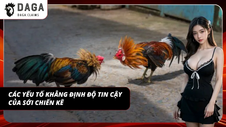 Nhiều yếu tố kết hợp giúp tạo nên mức độ tin cậy thực tế