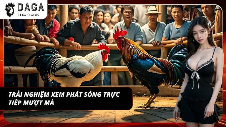 Trải nghiệm mượt giúp giữ nhịp theo dõi trong suốt trận đấu